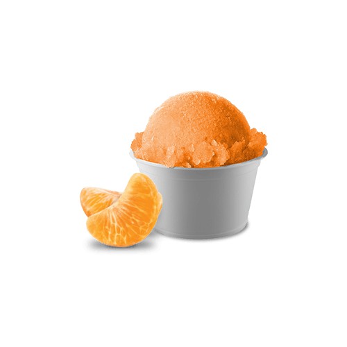 Froot Jooce® Tangerine Frozen Juice Cup