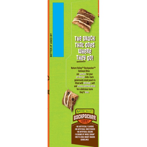 Backpacker Oatmeal Bites, S'mores