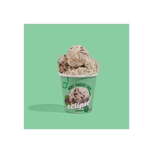Mint Chip Non-Dairy Pint