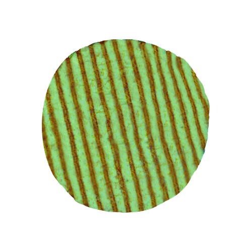 Flatbread Spinach 8"