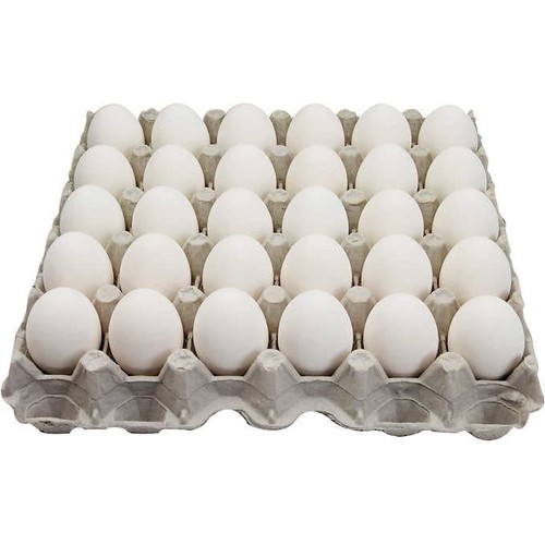 Large White AA Loose Eggs CA Compliant