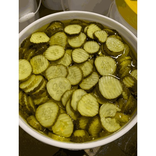 Kosher Dill Crosscuts 5/16