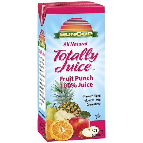 E Pallet Totally Juice Fruit Punch 100 Shelf Stable Juice Box, 40/6.75oz