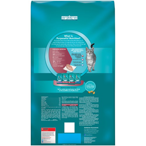 purina one cat food 22 lb