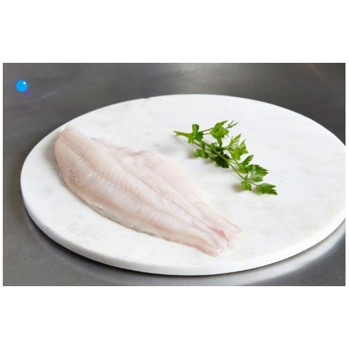 HARVEST SELECT CATFISH 4-7 CUT FILET