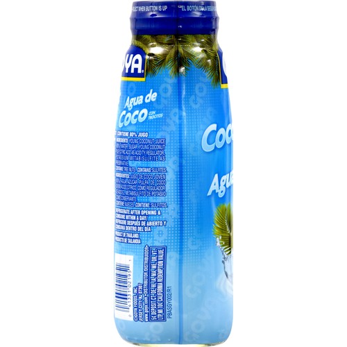 Goya Coconut Water With Pulp 13.5 oz
