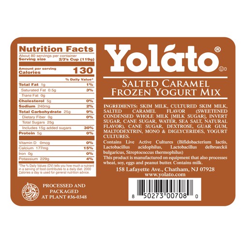 Salted Caramel Frozen Yogurt